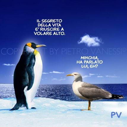 SABATO 15 SETTEMBRE - Pagina 7 Volare%20Alti%A9
