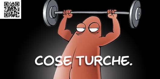 dett_cose-turche_low.jpg