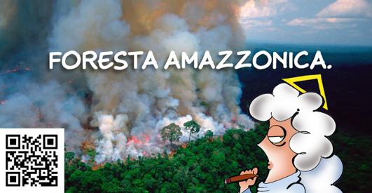 dett_dia-amazzonia.jpg