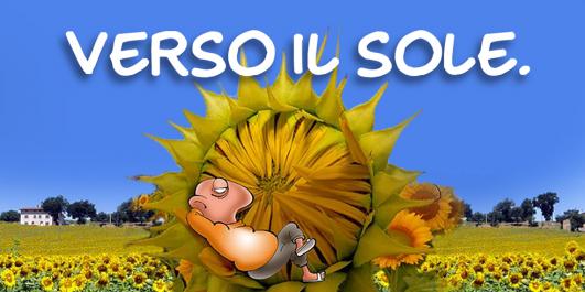 dett_girasoli.jpg