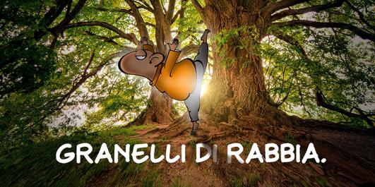 dett_granelli-di-rabbia.jpg