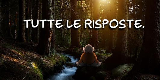 dett_le-risposte.jpg