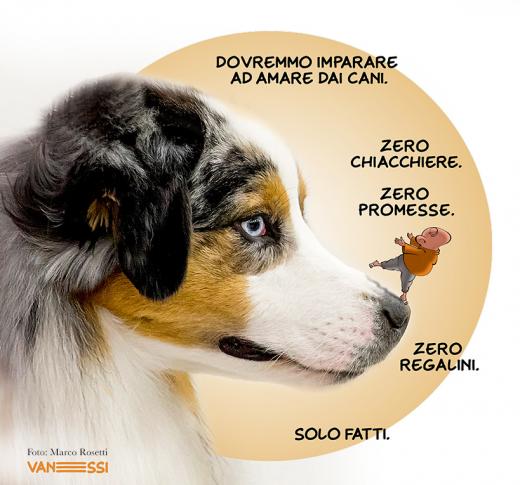 iz-imparare-dai-cani.jpg