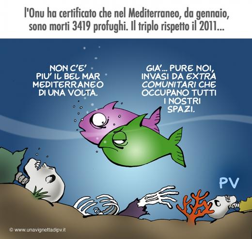 mar-mediterraneo_low.jpg