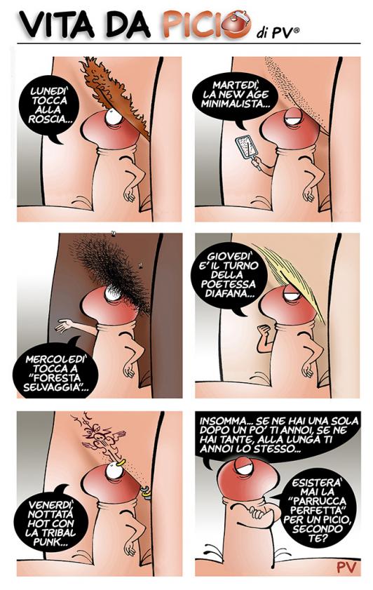 picio-comics-vert_low.jpg